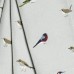 Garden Birds Napkins (Set Of 4)